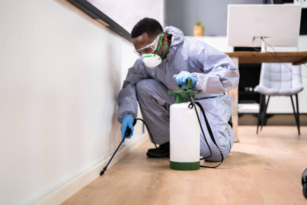 Best Pest Prevention Services  in New Albany, MS